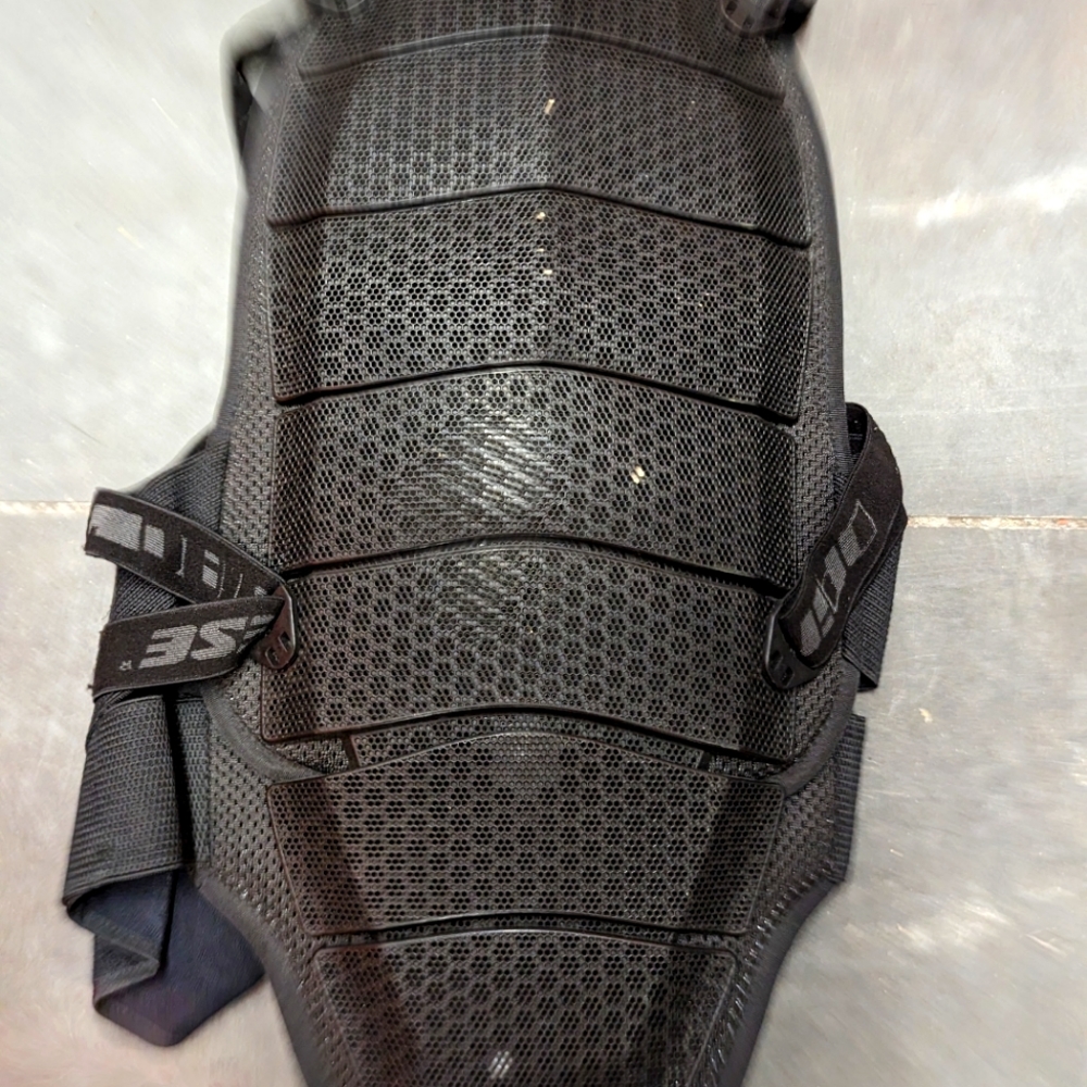 Dainese back protector